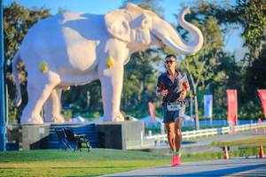 BIB: 
                            <button type="button" onclick="openModal(26183497)" class="btn btn-primary btn-sm float-right btn-popup" data-toggle="modal" data-target=".modal-high-quality">
                        <i class="fas fa-shopping-cart"></i> Add to Cart
                    </button>
                                            <button type="button" onclick="isThisMe(26183497, true)" class="btn btn-success btn-sm float-right btn-popup btn-isme hidden" data-toggle="tooltip" data-placement="bottom" title="นี่คือรูปของคุณใช่ไหม คลิกที่นี่เพื่อเอาเข้าอัลบั้ม">
                        <i class="fas fa-plus"></i> Add to album
                    </button>
                    <button type="button" onclick="isThisMe(26183497, false)" class="btn btn-warning btn-sm float-right btn-popup btn-isnotme hidden">
                        <i class="fas fa-ban"></i> Remove from album
                    </button>