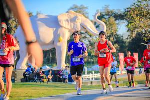 BIB: 
                            <button type="button" onclick="openModal(26183628)" class="btn btn-primary btn-sm float-right btn-popup" data-toggle="modal" data-target=".modal-high-quality">
                        <i class="fas fa-shopping-cart"></i> Add to Cart
                    </button>
                                            <button type="button" onclick="isThisMe(26183628, true)" class="btn btn-success btn-sm float-right btn-popup btn-isme hidden" data-toggle="tooltip" data-placement="bottom" title="นี่คือรูปของคุณใช่ไหม คลิกที่นี่เพื่อเอาเข้าอัลบั้ม">
                        <i class="fas fa-plus"></i> Add to album
                    </button>
                    <button type="button" onclick="isThisMe(26183628, false)" class="btn btn-warning btn-sm float-right btn-popup btn-isnotme hidden">
                        <i class="fas fa-ban"></i> Remove from album
                    </button>