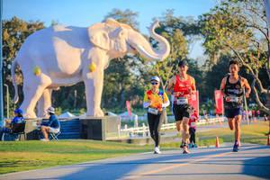 BIB: 
                            <button type="button" onclick="openModal(26183782)" class="btn btn-primary btn-sm float-right btn-popup" data-toggle="modal" data-target=".modal-high-quality">
                        <i class="fas fa-shopping-cart"></i> Add to Cart
                    </button>
                                            <button type="button" onclick="isThisMe(26183782, true)" class="btn btn-success btn-sm float-right btn-popup btn-isme hidden" data-toggle="tooltip" data-placement="bottom" title="นี่คือรูปของคุณใช่ไหม คลิกที่นี่เพื่อเอาเข้าอัลบั้ม">
                        <i class="fas fa-plus"></i> Add to album
                    </button>
                    <button type="button" onclick="isThisMe(26183782, false)" class="btn btn-warning btn-sm float-right btn-popup btn-isnotme hidden">
                        <i class="fas fa-ban"></i> Remove from album
                    </button>