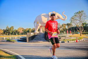 BIB: 
                            <button type="button" onclick="openModal(26186491)" class="btn btn-primary btn-sm float-right btn-popup" data-toggle="modal" data-target=".modal-high-quality">
                        <i class="fas fa-shopping-cart"></i> Add to Cart
                    </button>
                                            <button type="button" onclick="isThisMe(26186491, true)" class="btn btn-success btn-sm float-right btn-popup btn-isme hidden" data-toggle="tooltip" data-placement="bottom" title="นี่คือรูปของคุณใช่ไหม คลิกที่นี่เพื่อเอาเข้าอัลบั้ม">
                        <i class="fas fa-plus"></i> Add to album
                    </button>
                    <button type="button" onclick="isThisMe(26186491, false)" class="btn btn-warning btn-sm float-right btn-popup btn-isnotme hidden">
                        <i class="fas fa-ban"></i> Remove from album
                    </button>