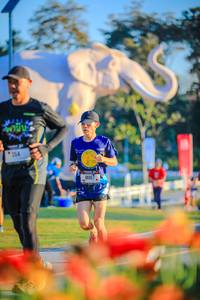 BIB: 
                            <button type="button" onclick="openModal(26183860)" class="btn btn-primary btn-sm float-right btn-popup" data-toggle="modal" data-target=".modal-high-quality">
                        <i class="fas fa-shopping-cart"></i> Add to Cart
                    </button>
                                            <button type="button" onclick="isThisMe(26183860, true)" class="btn btn-success btn-sm float-right btn-popup btn-isme hidden" data-toggle="tooltip" data-placement="bottom" title="นี่คือรูปของคุณใช่ไหม คลิกที่นี่เพื่อเอาเข้าอัลบั้ม">
                        <i class="fas fa-plus"></i> Add to album
                    </button>
                    <button type="button" onclick="isThisMe(26183860, false)" class="btn btn-warning btn-sm float-right btn-popup btn-isnotme hidden">
                        <i class="fas fa-ban"></i> Remove from album
                    </button>