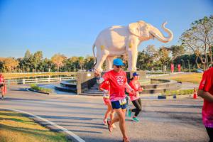 BIB: 
                            <button type="button" onclick="openModal(26186598)" class="btn btn-primary btn-sm float-right btn-popup" data-toggle="modal" data-target=".modal-high-quality">
                        <i class="fas fa-shopping-cart"></i> Add to Cart
                    </button>
                                            <button type="button" onclick="isThisMe(26186598, true)" class="btn btn-success btn-sm float-right btn-popup btn-isme hidden" data-toggle="tooltip" data-placement="bottom" title="นี่คือรูปของคุณใช่ไหม คลิกที่นี่เพื่อเอาเข้าอัลบั้ม">
                        <i class="fas fa-plus"></i> Add to album
                    </button>
                    <button type="button" onclick="isThisMe(26186598, false)" class="btn btn-warning btn-sm float-right btn-popup btn-isnotme hidden">
                        <i class="fas fa-ban"></i> Remove from album
                    </button>