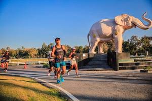 BIB: 
                            <button type="button" onclick="openModal(26186398)" class="btn btn-primary btn-sm float-right btn-popup" data-toggle="modal" data-target=".modal-high-quality">
                        <i class="fas fa-shopping-cart"></i> Add to Cart
                    </button>
                                            <button type="button" onclick="isThisMe(26186398, true)" class="btn btn-success btn-sm float-right btn-popup btn-isme hidden" data-toggle="tooltip" data-placement="bottom" title="นี่คือรูปของคุณใช่ไหม คลิกที่นี่เพื่อเอาเข้าอัลบั้ม">
                        <i class="fas fa-plus"></i> Add to album
                    </button>
                    <button type="button" onclick="isThisMe(26186398, false)" class="btn btn-warning btn-sm float-right btn-popup btn-isnotme hidden">
                        <i class="fas fa-ban"></i> Remove from album
                    </button>