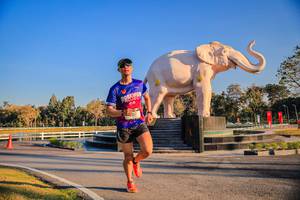 BIB: 
                            <button type="button" onclick="openModal(26186389)" class="btn btn-primary btn-sm float-right btn-popup" data-toggle="modal" data-target=".modal-high-quality">
                        <i class="fas fa-shopping-cart"></i> Add to Cart
                    </button>
                                            <button type="button" onclick="isThisMe(26186389, true)" class="btn btn-success btn-sm float-right btn-popup btn-isme hidden" data-toggle="tooltip" data-placement="bottom" title="นี่คือรูปของคุณใช่ไหม คลิกที่นี่เพื่อเอาเข้าอัลบั้ม">
                        <i class="fas fa-plus"></i> Add to album
                    </button>
                    <button type="button" onclick="isThisMe(26186389, false)" class="btn btn-warning btn-sm float-right btn-popup btn-isnotme hidden">
                        <i class="fas fa-ban"></i> Remove from album
                    </button>