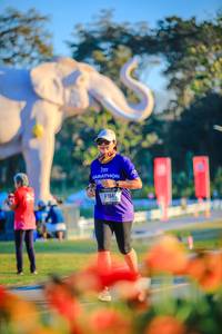 BIB: 
                            <button type="button" onclick="openModal(26183939)" class="btn btn-primary btn-sm float-right btn-popup" data-toggle="modal" data-target=".modal-high-quality">
                        <i class="fas fa-shopping-cart"></i> Add to Cart
                    </button>
                                            <button type="button" onclick="isThisMe(26183939, true)" class="btn btn-success btn-sm float-right btn-popup btn-isme hidden" data-toggle="tooltip" data-placement="bottom" title="นี่คือรูปของคุณใช่ไหม คลิกที่นี่เพื่อเอาเข้าอัลบั้ม">
                        <i class="fas fa-plus"></i> Add to album
                    </button>
                    <button type="button" onclick="isThisMe(26183939, false)" class="btn btn-warning btn-sm float-right btn-popup btn-isnotme hidden">
                        <i class="fas fa-ban"></i> Remove from album
                    </button>