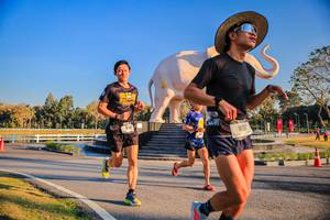 BIB: 
                            <button type="button" onclick="openModal(26186407)" class="btn btn-primary btn-sm float-right btn-popup" data-toggle="modal" data-target=".modal-high-quality">
                        <i class="fas fa-shopping-cart"></i> Add to Cart
                    </button>
                                            <button type="button" onclick="isThisMe(26186407, true)" class="btn btn-success btn-sm float-right btn-popup btn-isme hidden" data-toggle="tooltip" data-placement="bottom" title="นี่คือรูปของคุณใช่ไหม คลิกที่นี่เพื่อเอาเข้าอัลบั้ม">
                        <i class="fas fa-plus"></i> Add to album
                    </button>
                    <button type="button" onclick="isThisMe(26186407, false)" class="btn btn-warning btn-sm float-right btn-popup btn-isnotme hidden">
                        <i class="fas fa-ban"></i> Remove from album
                    </button>