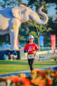 BIB: 
                            <button type="button" onclick="openModal(26183825)" class="btn btn-primary btn-sm float-right btn-popup" data-toggle="modal" data-target=".modal-high-quality">
                        <i class="fas fa-shopping-cart"></i> Add to Cart
                    </button>
                                            <button type="button" onclick="isThisMe(26183825, true)" class="btn btn-success btn-sm float-right btn-popup btn-isme hidden" data-toggle="tooltip" data-placement="bottom" title="นี่คือรูปของคุณใช่ไหม คลิกที่นี่เพื่อเอาเข้าอัลบั้ม">
                        <i class="fas fa-plus"></i> Add to album
                    </button>
                    <button type="button" onclick="isThisMe(26183825, false)" class="btn btn-warning btn-sm float-right btn-popup btn-isnotme hidden">
                        <i class="fas fa-ban"></i> Remove from album
                    </button>