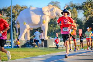 BIB: 
                            <button type="button" onclick="openModal(26183573)" class="btn btn-primary btn-sm float-right btn-popup" data-toggle="modal" data-target=".modal-high-quality">
                        <i class="fas fa-shopping-cart"></i> Add to Cart
                    </button>
                                            <button type="button" onclick="isThisMe(26183573, true)" class="btn btn-success btn-sm float-right btn-popup btn-isme hidden" data-toggle="tooltip" data-placement="bottom" title="นี่คือรูปของคุณใช่ไหม คลิกที่นี่เพื่อเอาเข้าอัลบั้ม">
                        <i class="fas fa-plus"></i> Add to album
                    </button>
                    <button type="button" onclick="isThisMe(26183573, false)" class="btn btn-warning btn-sm float-right btn-popup btn-isnotme hidden">
                        <i class="fas fa-ban"></i> Remove from album
                    </button>