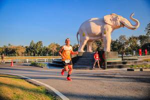 BIB: 
                            <button type="button" onclick="openModal(26186368)" class="btn btn-primary btn-sm float-right btn-popup" data-toggle="modal" data-target=".modal-high-quality">
                        <i class="fas fa-shopping-cart"></i> Add to Cart
                    </button>
                                            <button type="button" onclick="isThisMe(26186368, true)" class="btn btn-success btn-sm float-right btn-popup btn-isme hidden" data-toggle="tooltip" data-placement="bottom" title="นี่คือรูปของคุณใช่ไหม คลิกที่นี่เพื่อเอาเข้าอัลบั้ม">
                        <i class="fas fa-plus"></i> Add to album
                    </button>
                    <button type="button" onclick="isThisMe(26186368, false)" class="btn btn-warning btn-sm float-right btn-popup btn-isnotme hidden">
                        <i class="fas fa-ban"></i> Remove from album
                    </button>