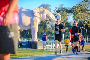 BIB: 
                            <button type="button" onclick="openModal(26183667)" class="btn btn-primary btn-sm float-right btn-popup" data-toggle="modal" data-target=".modal-high-quality">
                        <i class="fas fa-shopping-cart"></i> Add to Cart
                    </button>
                                            <button type="button" onclick="isThisMe(26183667, true)" class="btn btn-success btn-sm float-right btn-popup btn-isme hidden" data-toggle="tooltip" data-placement="bottom" title="นี่คือรูปของคุณใช่ไหม คลิกที่นี่เพื่อเอาเข้าอัลบั้ม">
                        <i class="fas fa-plus"></i> Add to album
                    </button>
                    <button type="button" onclick="isThisMe(26183667, false)" class="btn btn-warning btn-sm float-right btn-popup btn-isnotme hidden">
                        <i class="fas fa-ban"></i> Remove from album
                    </button>