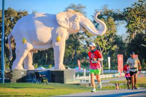 BIB: 
                            <button type="button" onclick="openModal(26183546)" class="btn btn-primary btn-sm float-right btn-popup" data-toggle="modal" data-target=".modal-high-quality">
                        <i class="fas fa-shopping-cart"></i> Add to Cart
                    </button>
                                            <button type="button" onclick="isThisMe(26183546, true)" class="btn btn-success btn-sm float-right btn-popup btn-isme hidden" data-toggle="tooltip" data-placement="bottom" title="นี่คือรูปของคุณใช่ไหม คลิกที่นี่เพื่อเอาเข้าอัลบั้ม">
                        <i class="fas fa-plus"></i> Add to album
                    </button>
                    <button type="button" onclick="isThisMe(26183546, false)" class="btn btn-warning btn-sm float-right btn-popup btn-isnotme hidden">
                        <i class="fas fa-ban"></i> Remove from album
                    </button>