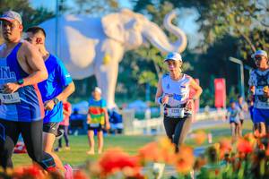 BIB: 
                            <button type="button" onclick="openModal(26184032)" class="btn btn-primary btn-sm float-right btn-popup" data-toggle="modal" data-target=".modal-high-quality">
                        <i class="fas fa-shopping-cart"></i> Add to Cart
                    </button>
                                            <button type="button" onclick="isThisMe(26184032, true)" class="btn btn-success btn-sm float-right btn-popup btn-isme hidden" data-toggle="tooltip" data-placement="bottom" title="นี่คือรูปของคุณใช่ไหม คลิกที่นี่เพื่อเอาเข้าอัลบั้ม">
                        <i class="fas fa-plus"></i> Add to album
                    </button>
                    <button type="button" onclick="isThisMe(26184032, false)" class="btn btn-warning btn-sm float-right btn-popup btn-isnotme hidden">
                        <i class="fas fa-ban"></i> Remove from album
                    </button>