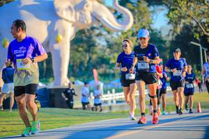 BIB: 
                            <button type="button" onclick="openModal(26183614)" class="btn btn-primary btn-sm float-right btn-popup" data-toggle="modal" data-target=".modal-high-quality">
                        <i class="fas fa-shopping-cart"></i> Add to Cart
                    </button>
                                            <button type="button" onclick="isThisMe(26183614, true)" class="btn btn-success btn-sm float-right btn-popup btn-isme hidden" data-toggle="tooltip" data-placement="bottom" title="นี่คือรูปของคุณใช่ไหม คลิกที่นี่เพื่อเอาเข้าอัลบั้ม">
                        <i class="fas fa-plus"></i> Add to album
                    </button>
                    <button type="button" onclick="isThisMe(26183614, false)" class="btn btn-warning btn-sm float-right btn-popup btn-isnotme hidden">
                        <i class="fas fa-ban"></i> Remove from album
                    </button>