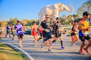 BIB: 
                            <button type="button" onclick="openModal(26186501)" class="btn btn-primary btn-sm float-right btn-popup" data-toggle="modal" data-target=".modal-high-quality">
                        <i class="fas fa-shopping-cart"></i> Add to Cart
                    </button>
                                            <button type="button" onclick="isThisMe(26186501, true)" class="btn btn-success btn-sm float-right btn-popup btn-isme hidden" data-toggle="tooltip" data-placement="bottom" title="นี่คือรูปของคุณใช่ไหม คลิกที่นี่เพื่อเอาเข้าอัลบั้ม">
                        <i class="fas fa-plus"></i> Add to album
                    </button>
                    <button type="button" onclick="isThisMe(26186501, false)" class="btn btn-warning btn-sm float-right btn-popup btn-isnotme hidden">
                        <i class="fas fa-ban"></i> Remove from album
                    </button>