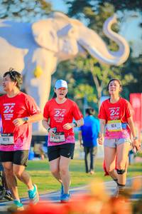 BIB: 
                            <button type="button" onclick="openModal(26183870)" class="btn btn-primary btn-sm float-right btn-popup" data-toggle="modal" data-target=".modal-high-quality">
                        <i class="fas fa-shopping-cart"></i> Add to Cart
                    </button>
                                            <button type="button" onclick="isThisMe(26183870, true)" class="btn btn-success btn-sm float-right btn-popup btn-isme hidden" data-toggle="tooltip" data-placement="bottom" title="นี่คือรูปของคุณใช่ไหม คลิกที่นี่เพื่อเอาเข้าอัลบั้ม">
                        <i class="fas fa-plus"></i> Add to album
                    </button>
                    <button type="button" onclick="isThisMe(26183870, false)" class="btn btn-warning btn-sm float-right btn-popup btn-isnotme hidden">
                        <i class="fas fa-ban"></i> Remove from album
                    </button>