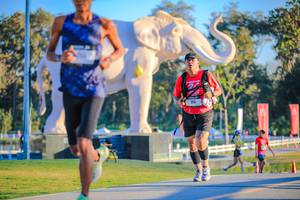 BIB: 
                            <button type="button" onclick="openModal(26183559)" class="btn btn-primary btn-sm float-right btn-popup" data-toggle="modal" data-target=".modal-high-quality">
                        <i class="fas fa-shopping-cart"></i> Add to Cart
                    </button>
                                            <button type="button" onclick="isThisMe(26183559, true)" class="btn btn-success btn-sm float-right btn-popup btn-isme hidden" data-toggle="tooltip" data-placement="bottom" title="นี่คือรูปของคุณใช่ไหม คลิกที่นี่เพื่อเอาเข้าอัลบั้ม">
                        <i class="fas fa-plus"></i> Add to album
                    </button>
                    <button type="button" onclick="isThisMe(26183559, false)" class="btn btn-warning btn-sm float-right btn-popup btn-isnotme hidden">
                        <i class="fas fa-ban"></i> Remove from album
                    </button>