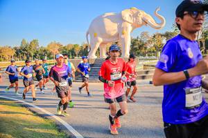 BIB: 
                            <button type="button" onclick="openModal(26186507)" class="btn btn-primary btn-sm float-right btn-popup" data-toggle="modal" data-target=".modal-high-quality">
                        <i class="fas fa-shopping-cart"></i> Add to Cart
                    </button>
                                            <button type="button" onclick="isThisMe(26186507, true)" class="btn btn-success btn-sm float-right btn-popup btn-isme hidden" data-toggle="tooltip" data-placement="bottom" title="นี่คือรูปของคุณใช่ไหม คลิกที่นี่เพื่อเอาเข้าอัลบั้ม">
                        <i class="fas fa-plus"></i> Add to album
                    </button>
                    <button type="button" onclick="isThisMe(26186507, false)" class="btn btn-warning btn-sm float-right btn-popup btn-isnotme hidden">
                        <i class="fas fa-ban"></i> Remove from album
                    </button>