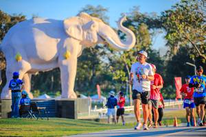 BIB: 
                            <button type="button" onclick="openModal(26183684)" class="btn btn-primary btn-sm float-right btn-popup" data-toggle="modal" data-target=".modal-high-quality">
                        <i class="fas fa-shopping-cart"></i> Add to Cart
                    </button>
                                            <button type="button" onclick="isThisMe(26183684, true)" class="btn btn-success btn-sm float-right btn-popup btn-isme hidden" data-toggle="tooltip" data-placement="bottom" title="นี่คือรูปของคุณใช่ไหม คลิกที่นี่เพื่อเอาเข้าอัลบั้ม">
                        <i class="fas fa-plus"></i> Add to album
                    </button>
                    <button type="button" onclick="isThisMe(26183684, false)" class="btn btn-warning btn-sm float-right btn-popup btn-isnotme hidden">
                        <i class="fas fa-ban"></i> Remove from album
                    </button>