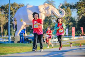 BIB: 
                            <button type="button" onclick="openModal(26183480)" class="btn btn-primary btn-sm float-right btn-popup" data-toggle="modal" data-target=".modal-high-quality">
                        <i class="fas fa-shopping-cart"></i> Add to Cart
                    </button>
                                            <button type="button" onclick="isThisMe(26183480, true)" class="btn btn-success btn-sm float-right btn-popup btn-isme hidden" data-toggle="tooltip" data-placement="bottom" title="นี่คือรูปของคุณใช่ไหม คลิกที่นี่เพื่อเอาเข้าอัลบั้ม">
                        <i class="fas fa-plus"></i> Add to album
                    </button>
                    <button type="button" onclick="isThisMe(26183480, false)" class="btn btn-warning btn-sm float-right btn-popup btn-isnotme hidden">
                        <i class="fas fa-ban"></i> Remove from album
                    </button>