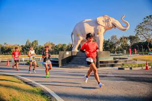 BIB: 
                            <button type="button" onclick="openModal(26186423)" class="btn btn-primary btn-sm float-right btn-popup" data-toggle="modal" data-target=".modal-high-quality">
                        <i class="fas fa-shopping-cart"></i> Add to Cart
                    </button>
                                            <button type="button" onclick="isThisMe(26186423, true)" class="btn btn-success btn-sm float-right btn-popup btn-isme hidden" data-toggle="tooltip" data-placement="bottom" title="นี่คือรูปของคุณใช่ไหม คลิกที่นี่เพื่อเอาเข้าอัลบั้ม">
                        <i class="fas fa-plus"></i> Add to album
                    </button>
                    <button type="button" onclick="isThisMe(26186423, false)" class="btn btn-warning btn-sm float-right btn-popup btn-isnotme hidden">
                        <i class="fas fa-ban"></i> Remove from album
                    </button>