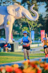 BIB: 
                            <button type="button" onclick="openModal(26183819)" class="btn btn-primary btn-sm float-right btn-popup" data-toggle="modal" data-target=".modal-high-quality">
                        <i class="fas fa-shopping-cart"></i> Add to Cart
                    </button>
                                            <button type="button" onclick="isThisMe(26183819, true)" class="btn btn-success btn-sm float-right btn-popup btn-isme hidden" data-toggle="tooltip" data-placement="bottom" title="นี่คือรูปของคุณใช่ไหม คลิกที่นี่เพื่อเอาเข้าอัลบั้ม">
                        <i class="fas fa-plus"></i> Add to album
                    </button>
                    <button type="button" onclick="isThisMe(26183819, false)" class="btn btn-warning btn-sm float-right btn-popup btn-isnotme hidden">
                        <i class="fas fa-ban"></i> Remove from album
                    </button>