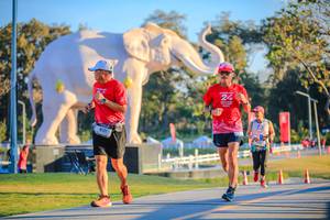 BIB: 
                            <button type="button" onclick="openModal(26183540)" class="btn btn-primary btn-sm float-right btn-popup" data-toggle="modal" data-target=".modal-high-quality">
                        <i class="fas fa-shopping-cart"></i> Add to Cart
                    </button>
                                            <button type="button" onclick="isThisMe(26183540, true)" class="btn btn-success btn-sm float-right btn-popup btn-isme hidden" data-toggle="tooltip" data-placement="bottom" title="นี่คือรูปของคุณใช่ไหม คลิกที่นี่เพื่อเอาเข้าอัลบั้ม">
                        <i class="fas fa-plus"></i> Add to album
                    </button>
                    <button type="button" onclick="isThisMe(26183540, false)" class="btn btn-warning btn-sm float-right btn-popup btn-isnotme hidden">
                        <i class="fas fa-ban"></i> Remove from album
                    </button>