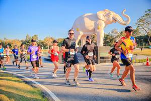 BIB: 
                            <button type="button" onclick="openModal(26186500)" class="btn btn-primary btn-sm float-right btn-popup" data-toggle="modal" data-target=".modal-high-quality">
                        <i class="fas fa-shopping-cart"></i> Add to Cart
                    </button>
                                            <button type="button" onclick="isThisMe(26186500, true)" class="btn btn-success btn-sm float-right btn-popup btn-isme hidden" data-toggle="tooltip" data-placement="bottom" title="นี่คือรูปของคุณใช่ไหม คลิกที่นี่เพื่อเอาเข้าอัลบั้ม">
                        <i class="fas fa-plus"></i> Add to album
                    </button>
                    <button type="button" onclick="isThisMe(26186500, false)" class="btn btn-warning btn-sm float-right btn-popup btn-isnotme hidden">
                        <i class="fas fa-ban"></i> Remove from album
                    </button>