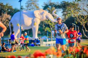 BIB: 
                            <button type="button" onclick="openModal(26184034)" class="btn btn-primary btn-sm float-right btn-popup" data-toggle="modal" data-target=".modal-high-quality">
                        <i class="fas fa-shopping-cart"></i> Add to Cart
                    </button>
                                            <button type="button" onclick="isThisMe(26184034, true)" class="btn btn-success btn-sm float-right btn-popup btn-isme hidden" data-toggle="tooltip" data-placement="bottom" title="นี่คือรูปของคุณใช่ไหม คลิกที่นี่เพื่อเอาเข้าอัลบั้ม">
                        <i class="fas fa-plus"></i> Add to album
                    </button>
                    <button type="button" onclick="isThisMe(26184034, false)" class="btn btn-warning btn-sm float-right btn-popup btn-isnotme hidden">
                        <i class="fas fa-ban"></i> Remove from album
                    </button>