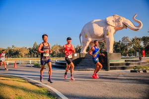 BIB: 
                            <button type="button" onclick="openModal(26186371)" class="btn btn-primary btn-sm float-right btn-popup" data-toggle="modal" data-target=".modal-high-quality">
                        <i class="fas fa-shopping-cart"></i> Add to Cart
                    </button>
                                            <button type="button" onclick="isThisMe(26186371, true)" class="btn btn-success btn-sm float-right btn-popup btn-isme hidden" data-toggle="tooltip" data-placement="bottom" title="นี่คือรูปของคุณใช่ไหม คลิกที่นี่เพื่อเอาเข้าอัลบั้ม">
                        <i class="fas fa-plus"></i> Add to album
                    </button>
                    <button type="button" onclick="isThisMe(26186371, false)" class="btn btn-warning btn-sm float-right btn-popup btn-isnotme hidden">
                        <i class="fas fa-ban"></i> Remove from album
                    </button>