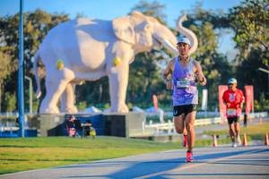 BIB: 
                            <button type="button" onclick="openModal(26183589)" class="btn btn-primary btn-sm float-right btn-popup" data-toggle="modal" data-target=".modal-high-quality">
                        <i class="fas fa-shopping-cart"></i> Add to Cart
                    </button>
                                            <button type="button" onclick="isThisMe(26183589, true)" class="btn btn-success btn-sm float-right btn-popup btn-isme hidden" data-toggle="tooltip" data-placement="bottom" title="นี่คือรูปของคุณใช่ไหม คลิกที่นี่เพื่อเอาเข้าอัลบั้ม">
                        <i class="fas fa-plus"></i> Add to album
                    </button>
                    <button type="button" onclick="isThisMe(26183589, false)" class="btn btn-warning btn-sm float-right btn-popup btn-isnotme hidden">
                        <i class="fas fa-ban"></i> Remove from album
                    </button>