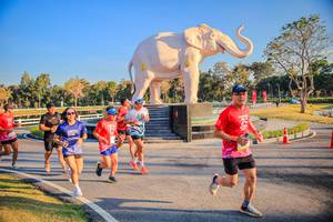 BIB: 
                            <button type="button" onclick="openModal(26186525)" class="btn btn-primary btn-sm float-right btn-popup" data-toggle="modal" data-target=".modal-high-quality">
                        <i class="fas fa-shopping-cart"></i> Add to Cart
                    </button>
                                            <button type="button" onclick="isThisMe(26186525, true)" class="btn btn-success btn-sm float-right btn-popup btn-isme hidden" data-toggle="tooltip" data-placement="bottom" title="นี่คือรูปของคุณใช่ไหม คลิกที่นี่เพื่อเอาเข้าอัลบั้ม">
                        <i class="fas fa-plus"></i> Add to album
                    </button>
                    <button type="button" onclick="isThisMe(26186525, false)" class="btn btn-warning btn-sm float-right btn-popup btn-isnotme hidden">
                        <i class="fas fa-ban"></i> Remove from album
                    </button>