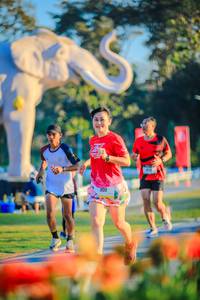 BIB: 
                            <button type="button" onclick="openModal(26183892)" class="btn btn-primary btn-sm float-right btn-popup" data-toggle="modal" data-target=".modal-high-quality">
                        <i class="fas fa-shopping-cart"></i> Add to Cart
                    </button>
                                            <button type="button" onclick="isThisMe(26183892, true)" class="btn btn-success btn-sm float-right btn-popup btn-isme hidden" data-toggle="tooltip" data-placement="bottom" title="นี่คือรูปของคุณใช่ไหม คลิกที่นี่เพื่อเอาเข้าอัลบั้ม">
                        <i class="fas fa-plus"></i> Add to album
                    </button>
                    <button type="button" onclick="isThisMe(26183892, false)" class="btn btn-warning btn-sm float-right btn-popup btn-isnotme hidden">
                        <i class="fas fa-ban"></i> Remove from album
                    </button>