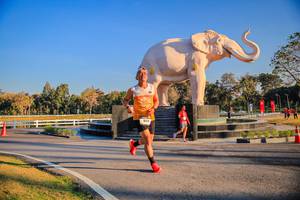 BIB: 
                            <button type="button" onclick="openModal(26186366)" class="btn btn-primary btn-sm float-right btn-popup" data-toggle="modal" data-target=".modal-high-quality">
                        <i class="fas fa-shopping-cart"></i> Add to Cart
                    </button>
                                            <button type="button" onclick="isThisMe(26186366, true)" class="btn btn-success btn-sm float-right btn-popup btn-isme hidden" data-toggle="tooltip" data-placement="bottom" title="นี่คือรูปของคุณใช่ไหม คลิกที่นี่เพื่อเอาเข้าอัลบั้ม">
                        <i class="fas fa-plus"></i> Add to album
                    </button>
                    <button type="button" onclick="isThisMe(26186366, false)" class="btn btn-warning btn-sm float-right btn-popup btn-isnotme hidden">
                        <i class="fas fa-ban"></i> Remove from album
                    </button>