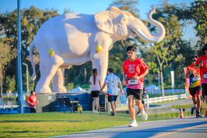 BIB: 
                            <button type="button" onclick="openModal(26183571)" class="btn btn-primary btn-sm float-right btn-popup" data-toggle="modal" data-target=".modal-high-quality">
                        <i class="fas fa-shopping-cart"></i> Add to Cart
                    </button>
                                            <button type="button" onclick="isThisMe(26183571, true)" class="btn btn-success btn-sm float-right btn-popup btn-isme hidden" data-toggle="tooltip" data-placement="bottom" title="นี่คือรูปของคุณใช่ไหม คลิกที่นี่เพื่อเอาเข้าอัลบั้ม">
                        <i class="fas fa-plus"></i> Add to album
                    </button>
                    <button type="button" onclick="isThisMe(26183571, false)" class="btn btn-warning btn-sm float-right btn-popup btn-isnotme hidden">
                        <i class="fas fa-ban"></i> Remove from album
                    </button>