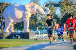 BIB: 
                            <button type="button" onclick="openModal(26183597)" class="btn btn-primary btn-sm float-right btn-popup" data-toggle="modal" data-target=".modal-high-quality">
                        <i class="fas fa-shopping-cart"></i> Add to Cart
                    </button>
                                            <button type="button" onclick="isThisMe(26183597, true)" class="btn btn-success btn-sm float-right btn-popup btn-isme hidden" data-toggle="tooltip" data-placement="bottom" title="นี่คือรูปของคุณใช่ไหม คลิกที่นี่เพื่อเอาเข้าอัลบั้ม">
                        <i class="fas fa-plus"></i> Add to album
                    </button>
                    <button type="button" onclick="isThisMe(26183597, false)" class="btn btn-warning btn-sm float-right btn-popup btn-isnotme hidden">
                        <i class="fas fa-ban"></i> Remove from album
                    </button>