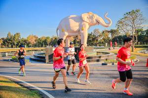 BIB: 
                            <button type="button" onclick="openModal(26186644)" class="btn btn-primary btn-sm float-right btn-popup" data-toggle="modal" data-target=".modal-high-quality">
                        <i class="fas fa-shopping-cart"></i> Add to Cart
                    </button>
                                            <button type="button" onclick="isThisMe(26186644, true)" class="btn btn-success btn-sm float-right btn-popup btn-isme hidden" data-toggle="tooltip" data-placement="bottom" title="นี่คือรูปของคุณใช่ไหม คลิกที่นี่เพื่อเอาเข้าอัลบั้ม">
                        <i class="fas fa-plus"></i> Add to album
                    </button>
                    <button type="button" onclick="isThisMe(26186644, false)" class="btn btn-warning btn-sm float-right btn-popup btn-isnotme hidden">
                        <i class="fas fa-ban"></i> Remove from album
                    </button>