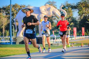 BIB: 
                            <button type="button" onclick="openModal(26183527)" class="btn btn-primary btn-sm float-right btn-popup" data-toggle="modal" data-target=".modal-high-quality">
                        <i class="fas fa-shopping-cart"></i> Add to Cart
                    </button>
                                            <button type="button" onclick="isThisMe(26183527, true)" class="btn btn-success btn-sm float-right btn-popup btn-isme hidden" data-toggle="tooltip" data-placement="bottom" title="นี่คือรูปของคุณใช่ไหม คลิกที่นี่เพื่อเอาเข้าอัลบั้ม">
                        <i class="fas fa-plus"></i> Add to album
                    </button>
                    <button type="button" onclick="isThisMe(26183527, false)" class="btn btn-warning btn-sm float-right btn-popup btn-isnotme hidden">
                        <i class="fas fa-ban"></i> Remove from album
                    </button>