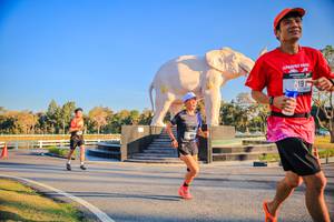 BIB: 
                            <button type="button" onclick="openModal(26186445)" class="btn btn-primary btn-sm float-right btn-popup" data-toggle="modal" data-target=".modal-high-quality">
                        <i class="fas fa-shopping-cart"></i> Add to Cart
                    </button>
                                            <button type="button" onclick="isThisMe(26186445, true)" class="btn btn-success btn-sm float-right btn-popup btn-isme hidden" data-toggle="tooltip" data-placement="bottom" title="นี่คือรูปของคุณใช่ไหม คลิกที่นี่เพื่อเอาเข้าอัลบั้ม">
                        <i class="fas fa-plus"></i> Add to album
                    </button>
                    <button type="button" onclick="isThisMe(26186445, false)" class="btn btn-warning btn-sm float-right btn-popup btn-isnotme hidden">
                        <i class="fas fa-ban"></i> Remove from album
                    </button>