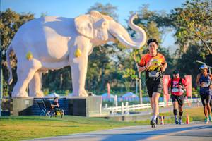 BIB: 
                            <button type="button" onclick="openModal(26183554)" class="btn btn-primary btn-sm float-right btn-popup" data-toggle="modal" data-target=".modal-high-quality">
                        <i class="fas fa-shopping-cart"></i> Add to Cart
                    </button>
                                            <button type="button" onclick="isThisMe(26183554, true)" class="btn btn-success btn-sm float-right btn-popup btn-isme hidden" data-toggle="tooltip" data-placement="bottom" title="นี่คือรูปของคุณใช่ไหม คลิกที่นี่เพื่อเอาเข้าอัลบั้ม">
                        <i class="fas fa-plus"></i> Add to album
                    </button>
                    <button type="button" onclick="isThisMe(26183554, false)" class="btn btn-warning btn-sm float-right btn-popup btn-isnotme hidden">
                        <i class="fas fa-ban"></i> Remove from album
                    </button>