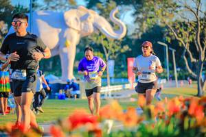 BIB: 
                            <button type="button" onclick="openModal(26184047)" class="btn btn-primary btn-sm float-right btn-popup" data-toggle="modal" data-target=".modal-high-quality">
                        <i class="fas fa-shopping-cart"></i> Add to Cart
                    </button>
                                            <button type="button" onclick="isThisMe(26184047, true)" class="btn btn-success btn-sm float-right btn-popup btn-isme hidden" data-toggle="tooltip" data-placement="bottom" title="นี่คือรูปของคุณใช่ไหม คลิกที่นี่เพื่อเอาเข้าอัลบั้ม">
                        <i class="fas fa-plus"></i> Add to album
                    </button>
                    <button type="button" onclick="isThisMe(26184047, false)" class="btn btn-warning btn-sm float-right btn-popup btn-isnotme hidden">
                        <i class="fas fa-ban"></i> Remove from album
                    </button>