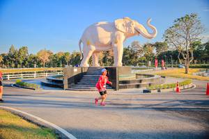 BIB: 
                            <button type="button" onclick="openModal(26186661)" class="btn btn-primary btn-sm float-right btn-popup" data-toggle="modal" data-target=".modal-high-quality">
                        <i class="fas fa-shopping-cart"></i> Add to Cart
                    </button>
                                            <button type="button" onclick="isThisMe(26186661, true)" class="btn btn-success btn-sm float-right btn-popup btn-isme hidden" data-toggle="tooltip" data-placement="bottom" title="นี่คือรูปของคุณใช่ไหม คลิกที่นี่เพื่อเอาเข้าอัลบั้ม">
                        <i class="fas fa-plus"></i> Add to album
                    </button>
                    <button type="button" onclick="isThisMe(26186661, false)" class="btn btn-warning btn-sm float-right btn-popup btn-isnotme hidden">
                        <i class="fas fa-ban"></i> Remove from album
                    </button>