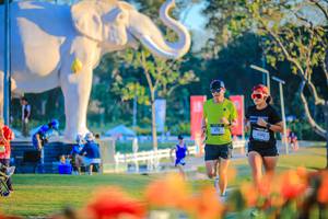 BIB: 
                            <button type="button" onclick="openModal(26183997)" class="btn btn-primary btn-sm float-right btn-popup" data-toggle="modal" data-target=".modal-high-quality">
                        <i class="fas fa-shopping-cart"></i> Add to Cart
                    </button>
                                            <button type="button" onclick="isThisMe(26183997, true)" class="btn btn-success btn-sm float-right btn-popup btn-isme hidden" data-toggle="tooltip" data-placement="bottom" title="นี่คือรูปของคุณใช่ไหม คลิกที่นี่เพื่อเอาเข้าอัลบั้ม">
                        <i class="fas fa-plus"></i> Add to album
                    </button>
                    <button type="button" onclick="isThisMe(26183997, false)" class="btn btn-warning btn-sm float-right btn-popup btn-isnotme hidden">
                        <i class="fas fa-ban"></i> Remove from album
                    </button>