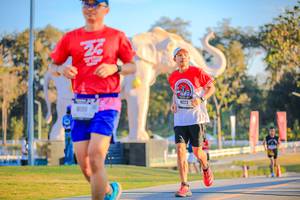 BIB: 
                            <button type="button" onclick="openModal(26183693)" class="btn btn-primary btn-sm float-right btn-popup" data-toggle="modal" data-target=".modal-high-quality">
                        <i class="fas fa-shopping-cart"></i> Add to Cart
                    </button>
                                            <button type="button" onclick="isThisMe(26183693, true)" class="btn btn-success btn-sm float-right btn-popup btn-isme hidden" data-toggle="tooltip" data-placement="bottom" title="นี่คือรูปของคุณใช่ไหม คลิกที่นี่เพื่อเอาเข้าอัลบั้ม">
                        <i class="fas fa-plus"></i> Add to album
                    </button>
                    <button type="button" onclick="isThisMe(26183693, false)" class="btn btn-warning btn-sm float-right btn-popup btn-isnotme hidden">
                        <i class="fas fa-ban"></i> Remove from album
                    </button>