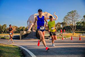 BIB: 
                            <button type="button" onclick="openModal(26186349)" class="btn btn-primary btn-sm float-right btn-popup" data-toggle="modal" data-target=".modal-high-quality">
                        <i class="fas fa-shopping-cart"></i> Add to Cart
                    </button>
                                            <button type="button" onclick="isThisMe(26186349, true)" class="btn btn-success btn-sm float-right btn-popup btn-isme hidden" data-toggle="tooltip" data-placement="bottom" title="นี่คือรูปของคุณใช่ไหม คลิกที่นี่เพื่อเอาเข้าอัลบั้ม">
                        <i class="fas fa-plus"></i> Add to album
                    </button>
                    <button type="button" onclick="isThisMe(26186349, false)" class="btn btn-warning btn-sm float-right btn-popup btn-isnotme hidden">
                        <i class="fas fa-ban"></i> Remove from album
                    </button>