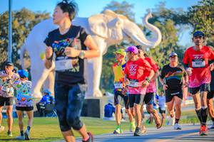 BIB: 
                            <button type="button" onclick="openModal(26183644)" class="btn btn-primary btn-sm float-right btn-popup" data-toggle="modal" data-target=".modal-high-quality">
                        <i class="fas fa-shopping-cart"></i> Add to Cart
                    </button>
                                            <button type="button" onclick="isThisMe(26183644, true)" class="btn btn-success btn-sm float-right btn-popup btn-isme hidden" data-toggle="tooltip" data-placement="bottom" title="นี่คือรูปของคุณใช่ไหม คลิกที่นี่เพื่อเอาเข้าอัลบั้ม">
                        <i class="fas fa-plus"></i> Add to album
                    </button>
                    <button type="button" onclick="isThisMe(26183644, false)" class="btn btn-warning btn-sm float-right btn-popup btn-isnotme hidden">
                        <i class="fas fa-ban"></i> Remove from album
                    </button>