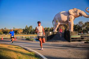 BIB: 
                            <button type="button" onclick="openModal(26186359)" class="btn btn-primary btn-sm float-right btn-popup" data-toggle="modal" data-target=".modal-high-quality">
                        <i class="fas fa-shopping-cart"></i> Add to Cart
                    </button>
                                            <button type="button" onclick="isThisMe(26186359, true)" class="btn btn-success btn-sm float-right btn-popup btn-isme hidden" data-toggle="tooltip" data-placement="bottom" title="นี่คือรูปของคุณใช่ไหม คลิกที่นี่เพื่อเอาเข้าอัลบั้ม">
                        <i class="fas fa-plus"></i> Add to album
                    </button>
                    <button type="button" onclick="isThisMe(26186359, false)" class="btn btn-warning btn-sm float-right btn-popup btn-isnotme hidden">
                        <i class="fas fa-ban"></i> Remove from album
                    </button>