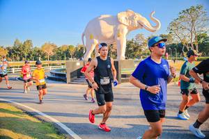 BIB: 
                            <button type="button" onclick="openModal(26186520)" class="btn btn-primary btn-sm float-right btn-popup" data-toggle="modal" data-target=".modal-high-quality">
                        <i class="fas fa-shopping-cart"></i> Add to Cart
                    </button>
                                            <button type="button" onclick="isThisMe(26186520, true)" class="btn btn-success btn-sm float-right btn-popup btn-isme hidden" data-toggle="tooltip" data-placement="bottom" title="นี่คือรูปของคุณใช่ไหม คลิกที่นี่เพื่อเอาเข้าอัลบั้ม">
                        <i class="fas fa-plus"></i> Add to album
                    </button>
                    <button type="button" onclick="isThisMe(26186520, false)" class="btn btn-warning btn-sm float-right btn-popup btn-isnotme hidden">
                        <i class="fas fa-ban"></i> Remove from album
                    </button>