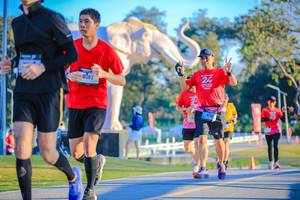 BIB: 
                            <button type="button" onclick="openModal(26183672)" class="btn btn-primary btn-sm float-right btn-popup" data-toggle="modal" data-target=".modal-high-quality">
                        <i class="fas fa-shopping-cart"></i> Add to Cart
                    </button>
                                            <button type="button" onclick="isThisMe(26183672, true)" class="btn btn-success btn-sm float-right btn-popup btn-isme hidden" data-toggle="tooltip" data-placement="bottom" title="นี่คือรูปของคุณใช่ไหม คลิกที่นี่เพื่อเอาเข้าอัลบั้ม">
                        <i class="fas fa-plus"></i> Add to album
                    </button>
                    <button type="button" onclick="isThisMe(26183672, false)" class="btn btn-warning btn-sm float-right btn-popup btn-isnotme hidden">
                        <i class="fas fa-ban"></i> Remove from album
                    </button>