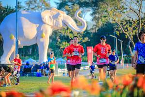 BIB: 
                            <button type="button" onclick="openModal(26184010)" class="btn btn-primary btn-sm float-right btn-popup" data-toggle="modal" data-target=".modal-high-quality">
                        <i class="fas fa-shopping-cart"></i> Add to Cart
                    </button>
                                            <button type="button" onclick="isThisMe(26184010, true)" class="btn btn-success btn-sm float-right btn-popup btn-isme hidden" data-toggle="tooltip" data-placement="bottom" title="นี่คือรูปของคุณใช่ไหม คลิกที่นี่เพื่อเอาเข้าอัลบั้ม">
                        <i class="fas fa-plus"></i> Add to album
                    </button>
                    <button type="button" onclick="isThisMe(26184010, false)" class="btn btn-warning btn-sm float-right btn-popup btn-isnotme hidden">
                        <i class="fas fa-ban"></i> Remove from album
                    </button>