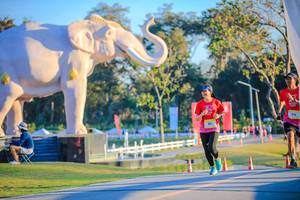 BIB: 
                            <button type="button" onclick="openModal(26183787)" class="btn btn-primary btn-sm float-right btn-popup" data-toggle="modal" data-target=".modal-high-quality">
                        <i class="fas fa-shopping-cart"></i> Add to Cart
                    </button>
                                            <button type="button" onclick="isThisMe(26183787, true)" class="btn btn-success btn-sm float-right btn-popup btn-isme hidden" data-toggle="tooltip" data-placement="bottom" title="นี่คือรูปของคุณใช่ไหม คลิกที่นี่เพื่อเอาเข้าอัลบั้ม">
                        <i class="fas fa-plus"></i> Add to album
                    </button>
                    <button type="button" onclick="isThisMe(26183787, false)" class="btn btn-warning btn-sm float-right btn-popup btn-isnotme hidden">
                        <i class="fas fa-ban"></i> Remove from album
                    </button>